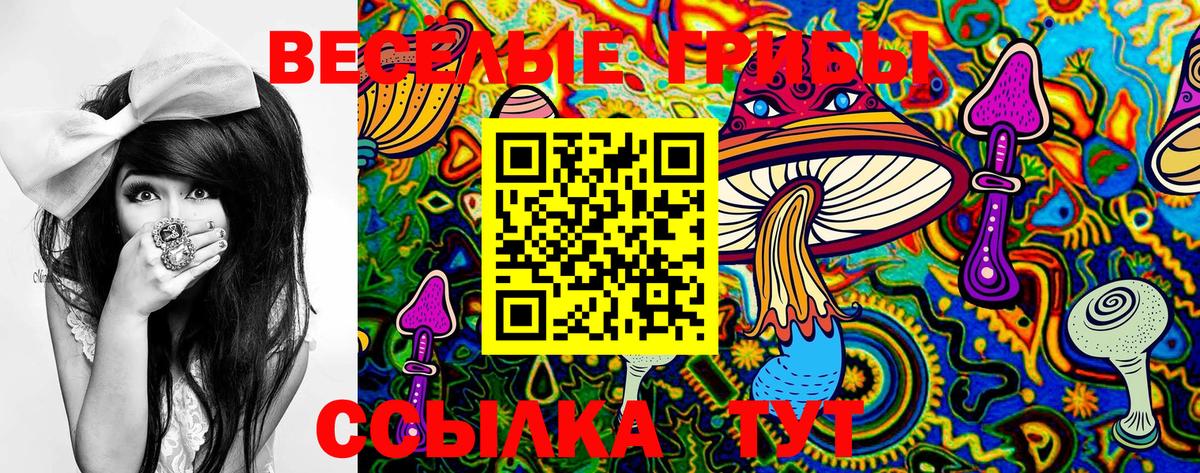 Галлюциногенные грибы Magic Shrooms  Вход с VPN  как найти закладки  Урус-Мартан  Галлюциногенные грибы Magic Shrooms 